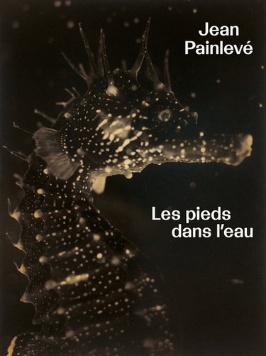 Couverture de Jean Painlevé : les pieds dans l'eau
