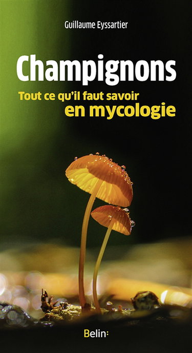 Couverture de Champignons : tout ce qu'il faut savoir en mycologie