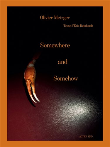 Couverture de Somewhere and somehow