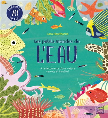 Couverture de Les petits mondes de l'eau : à la découverte d'une nature secrète et insolite !