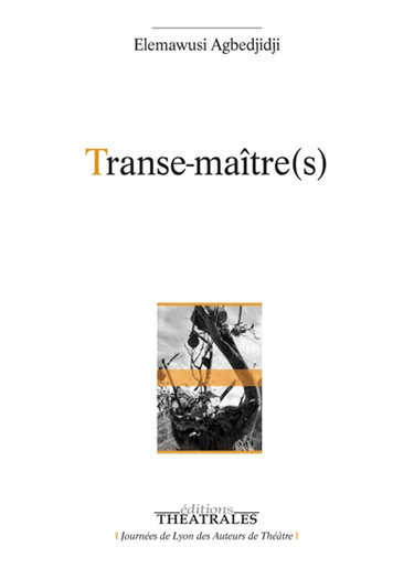 Couverture de Transe-maître(s)