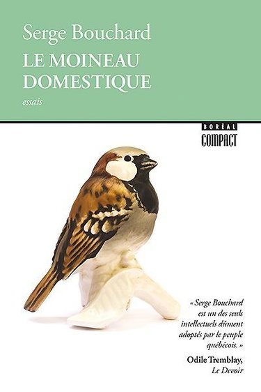 Couverture de Le moineau domestique : histoire de vivre 330