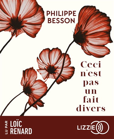 Couverture de Ceci n'est pas un fait divers