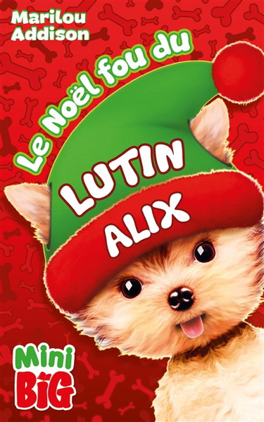 Couverture de Le Noël fou du lutin Alix