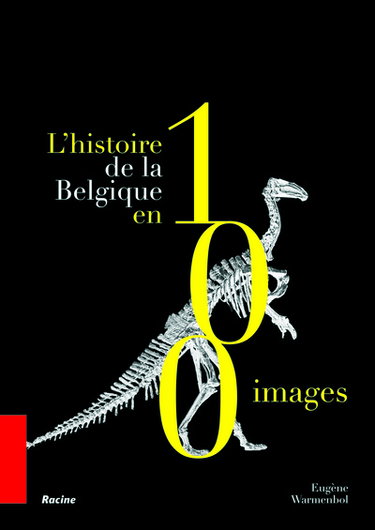 Couverture de L'histoire de la Belgique en 100 images