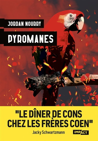 Couverture de Pyromanes