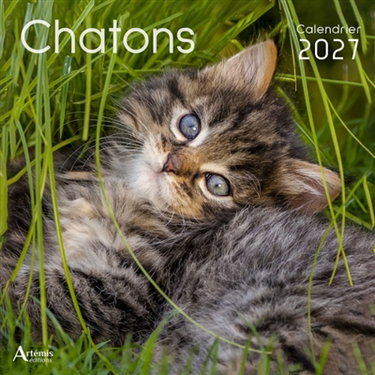 Couverture de Chatons : calendrier 2027