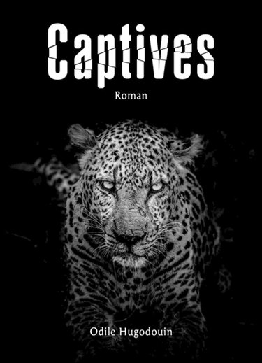 Couverture de Captives