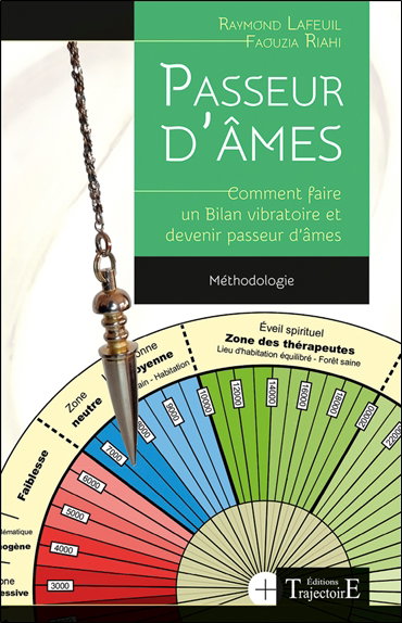 Couverture de Passeur d'âmes : comment faire un bilan vibratoire et devenir passeur d'âmes : méthodologie