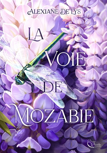 Couverture de La voie de Mozabie