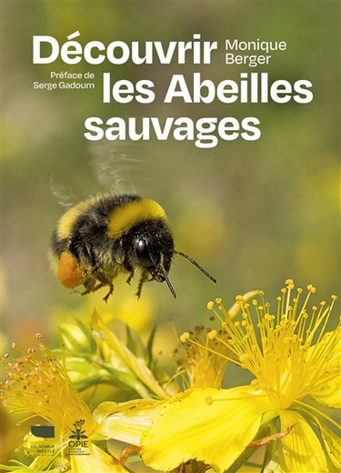 Couverture de Découvrir les abeilles sauvages