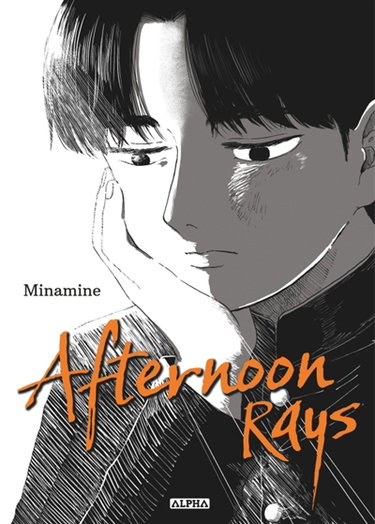 Couverture de Afternoon rays