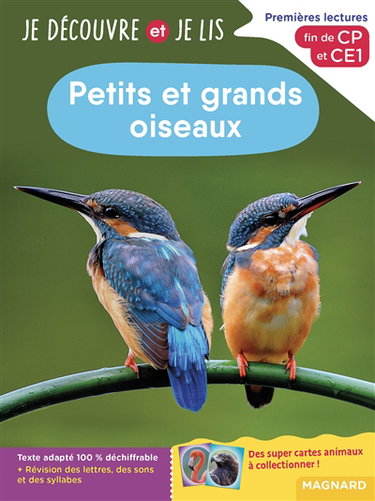 Couverture de Petits et grands oiseaux : premières lectures, fin de CP et CE1