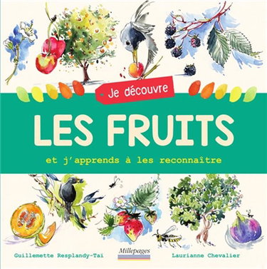 Couverture de Je découvre les fruits : et j'apprends à les reconnaître