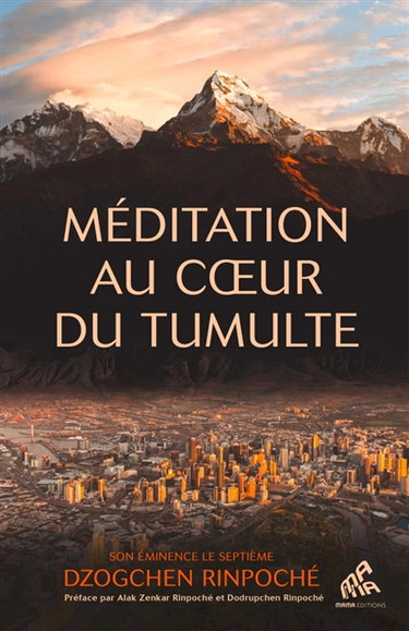 Couverture de Méditation au coeur du tumulte