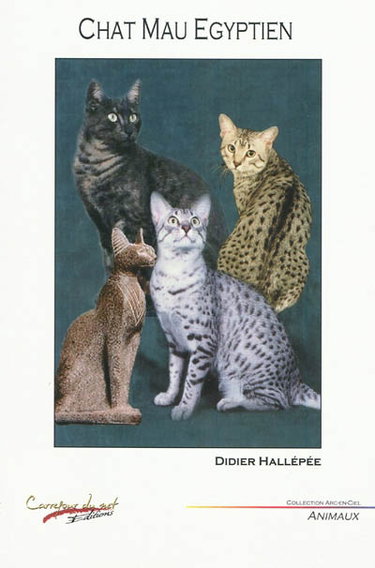 Couverture de Le chat mau égyptien