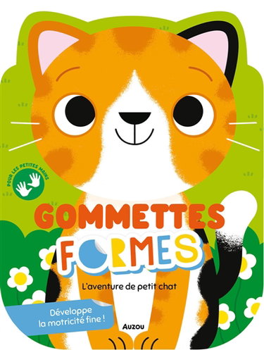 Couverture de L'aventure de petit chat