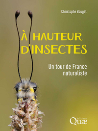 Couverture de A hauteur d'insectes : un tour de France naturaliste