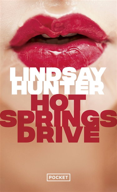 Couverture de Hot springs drive