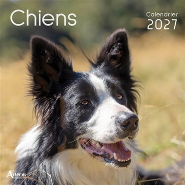 Couverture de Chiens : calendrier 2027