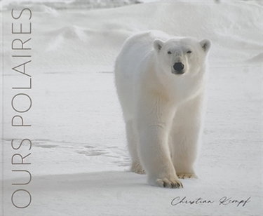 Couverture de Ours polaires