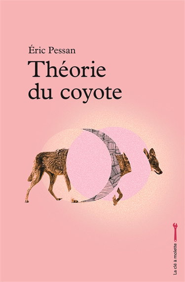 Couverture de Théorie du coyote