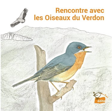 Couverture de Rencontre avec les oiseaux du Verdon