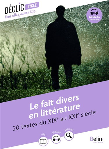 Couverture de Le fait divers en littérature : 20 textes du XIXe au XXIe siècle
