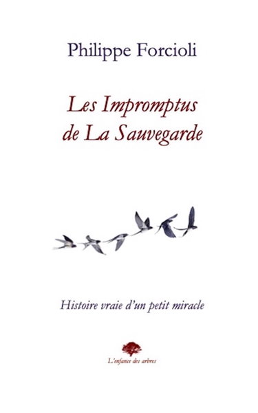 Couverture de Les impromptus de La Sauvegarde : histoire vraie d'un petit miracle