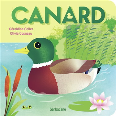Couverture de Canard par Géraldine Collet