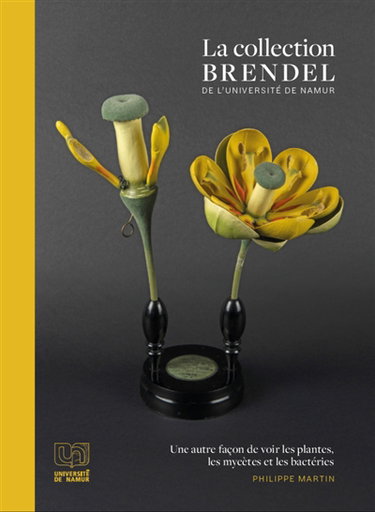 Couverture de La collection Brendel de l'Université de Namur : une autre façon de voir les plantes, les mycètes et les bactéries par Philippe Martin