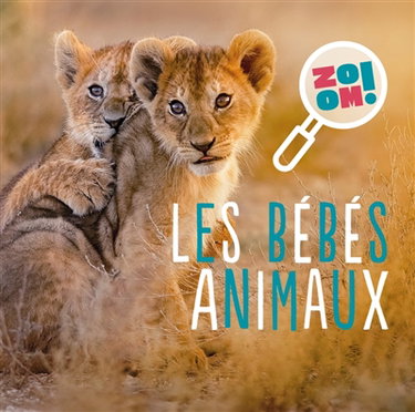Couverture de Les bébés animaux