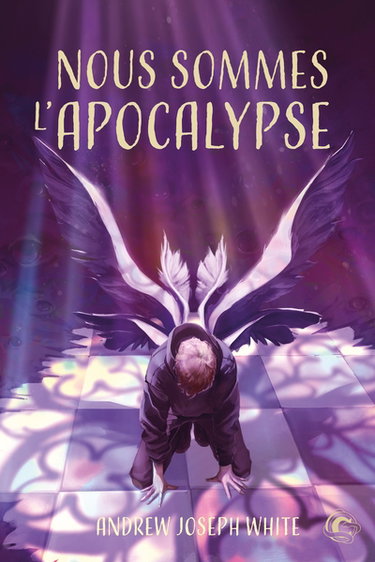 Couverture de Nous sommes l'apocalypse