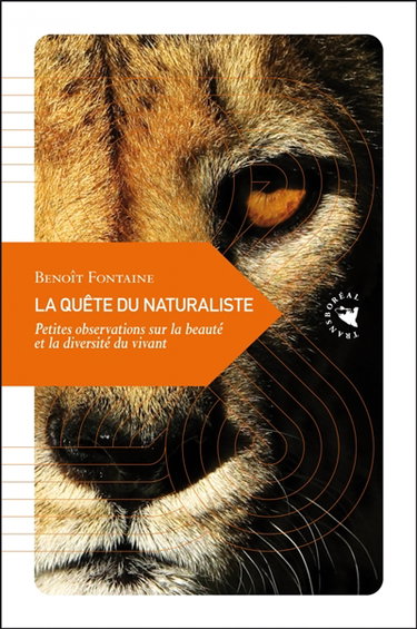 Couverture de La quête du naturaliste : petites observations sur la beauté et la diversité du vivant
