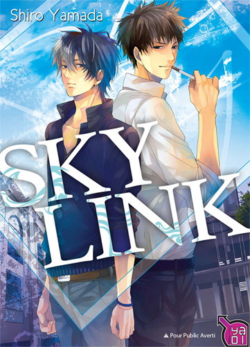 Couverture de Sky link