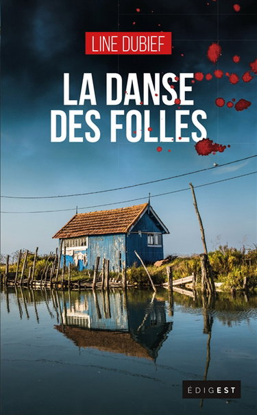 Couverture de La danse des folles