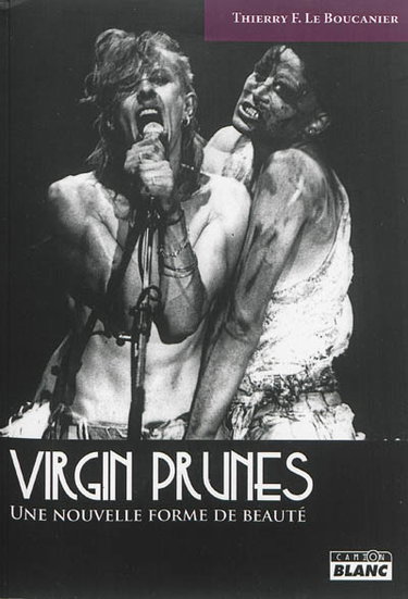 Couverture de Virgin Prunes : une nouvelle forme de beauté