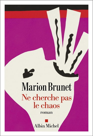 Couverture de Ne cherche pas le chaos