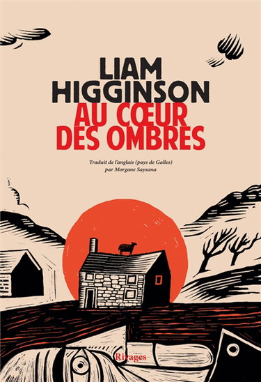 Couverture de Au coeur des ombres