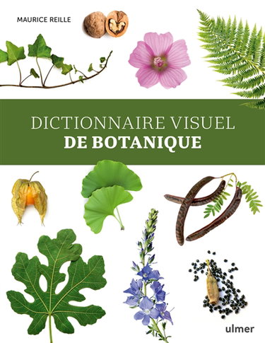Couverture de Dictionnaire visuel de botanique : éléments de botanique descriptive des végétaux vasculaires