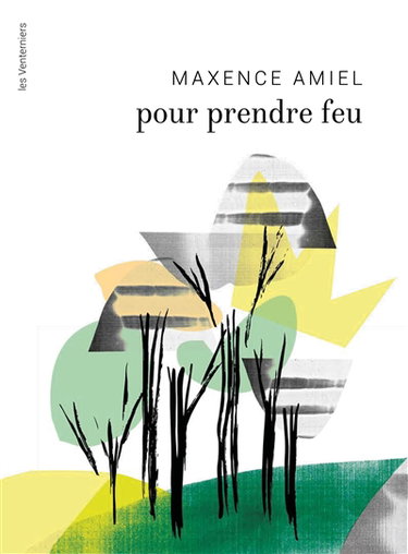 Couverture de Pour prendre feu