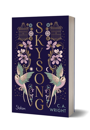 Couverture de Skysong