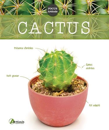 Couverture de Cactus