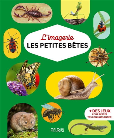 Couverture de Les petites bêtes