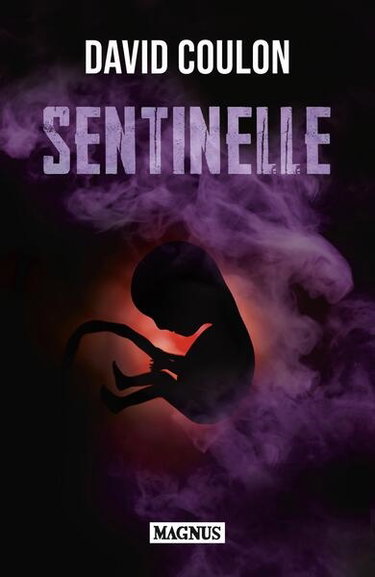 Couverture de Sentinelle : thriller