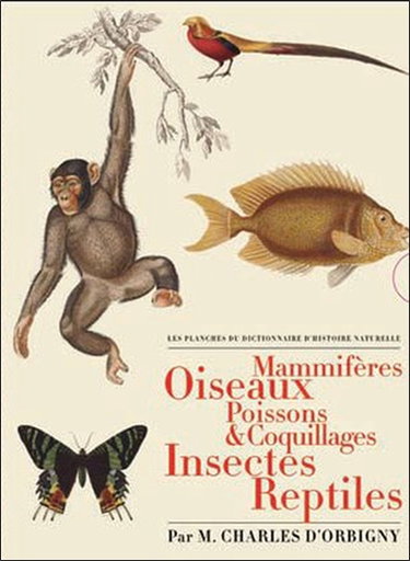 Couverture de Les planches du Dictionnaire d'histoire naturelle : mammifères, oiseaux, poissons & coquillages, insectes, reptiles