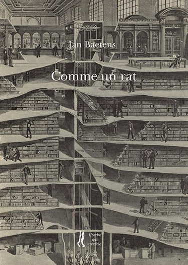 Couverture de Comme un rat