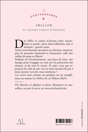 Couverture de Swallow : Le Grand voyage