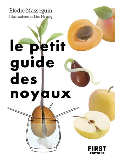 Couverture de Le petit guide des noyaux : 30 noyaux et pépins à faire germer !