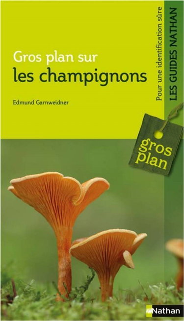 Couverture de Gros plan sur les champignons
